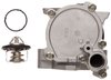 LIGHT DUTY WATER PUMPS - image 3