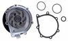LIGHT DUTY WATER PUMPS - image 3