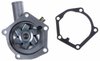 LIGHT DUTY WATER PUMPS - image 2
