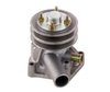 LIGHT DUTY WATER PUMPS - image 3