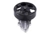LIGHT DUTY WATER PUMPS - image 3