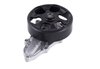 LIGHT DUTY WATER PUMPS - image 4