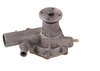 LIGHT DUTY WATER PUMPS - image 3