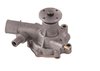 LIGHT DUTY WATER PUMPS - image 4