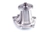 LIGHT DUTY WATER PUMPS - image 3