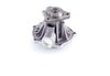 LIGHT DUTY WATER PUMPS - image 2