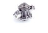 LIGHT DUTY WATER PUMPS - image 4