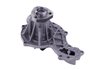 LIGHT DUTY WATER PUMPS - image 2