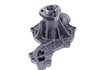 LIGHT DUTY WATER PUMPS - image 4