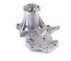 LIGHT DUTY WATER PUMPS - image 4