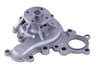 LIGHT DUTY WATER PUMPS - image 2