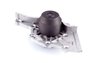 LIGHT DUTY WATER PUMPS - image 2