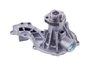 LIGHT DUTY WATER PUMPS - image 2