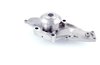 LIGHT DUTY WATER PUMPS - image 2