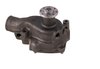 LIGHT DUTY WATER PUMPS - image 2