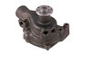 LIGHT DUTY WATER PUMPS - image 3