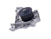 LIGHT DUTY WATER PUMPS - image 4