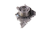 LIGHT DUTY WATER PUMPS - image 1