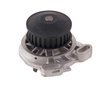 LIGHT DUTY WATER PUMPS - image 3