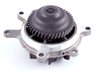 LIGHT DUTY WATER PUMPS - image 3