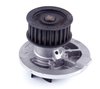 LIGHT DUTY WATER PUMPS - image 2