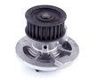 LIGHT DUTY WATER PUMPS - image 3