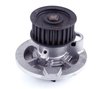LIGHT DUTY WATER PUMPS - image 4
