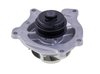 LIGHT DUTY WATER PUMPS - image 2