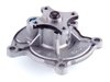 LIGHT DUTY WATER PUMPS - image 2