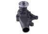 LIGHT DUTY WATER PUMPS - image 2