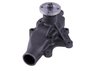 LIGHT DUTY WATER PUMPS - image 3