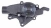 LIGHT DUTY WATER PUMPS - image 2