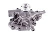 LIGHT DUTY WATER PUMPS - image 2