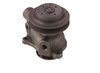 LIGHT DUTY WATER PUMPS - image 3
