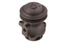 LIGHT DUTY WATER PUMPS - image 4