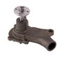 LIGHT DUTY WATER PUMPS - image 3