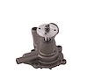 LIGHT DUTY WATER PUMPS - image 1
