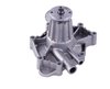 LIGHT DUTY WATER PUMPS - image 3