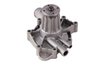LIGHT DUTY WATER PUMPS - image 2