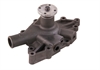 LIGHT DUTY WATER PUMPS - image 1