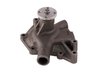 LIGHT DUTY WATER PUMPS - image 2