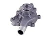 LIGHT DUTY WATER PUMPS - image 4