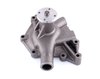 LIGHT DUTY WATER PUMPS - image 2
