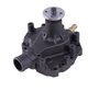 LIGHT DUTY WATER PUMPS - image 2