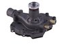 LIGHT DUTY WATER PUMPS - image 3