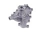 LIGHT DUTY WATER PUMPS - image 2