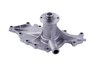 LIGHT DUTY WATER PUMPS - image 2