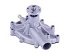 LIGHT DUTY WATER PUMPS - image 4