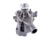 LIGHT DUTY WATER PUMPS - image 2