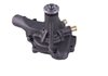 LIGHT DUTY WATER PUMPS - image 3